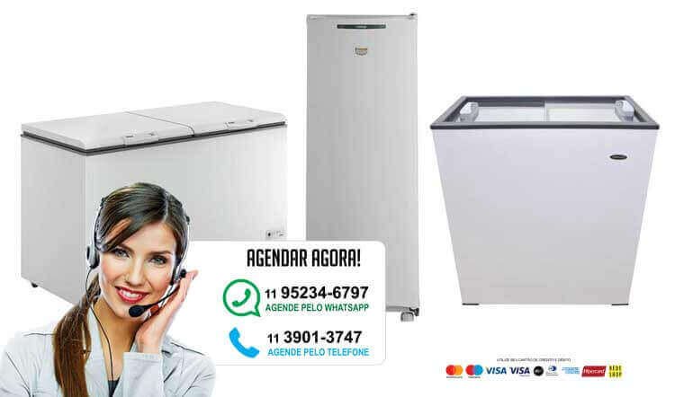 assistencia tecnica Freezer