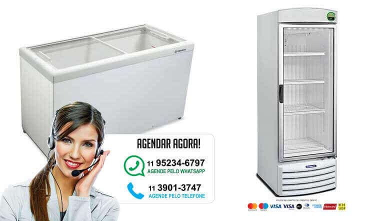 assistencia tecnica Freezer